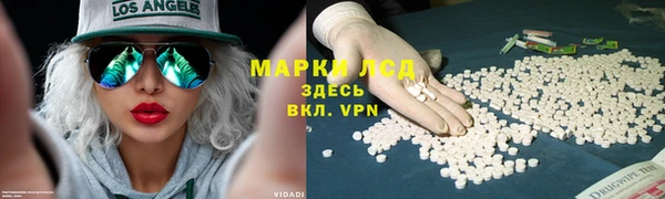 СК Горнозаводск