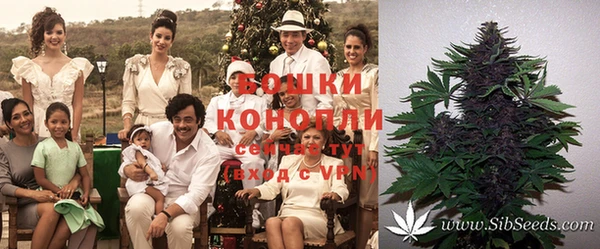 прущий лед Горняк