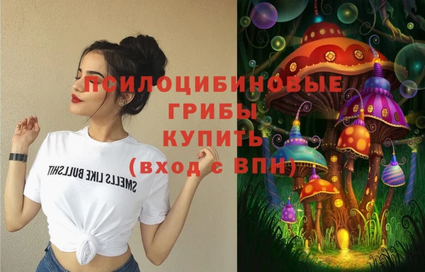 прущий лед Горно-Алтайск