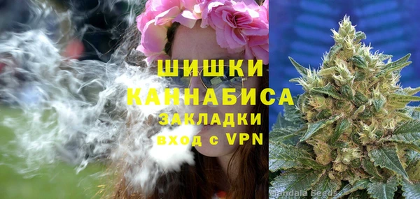 СК Горнозаводск